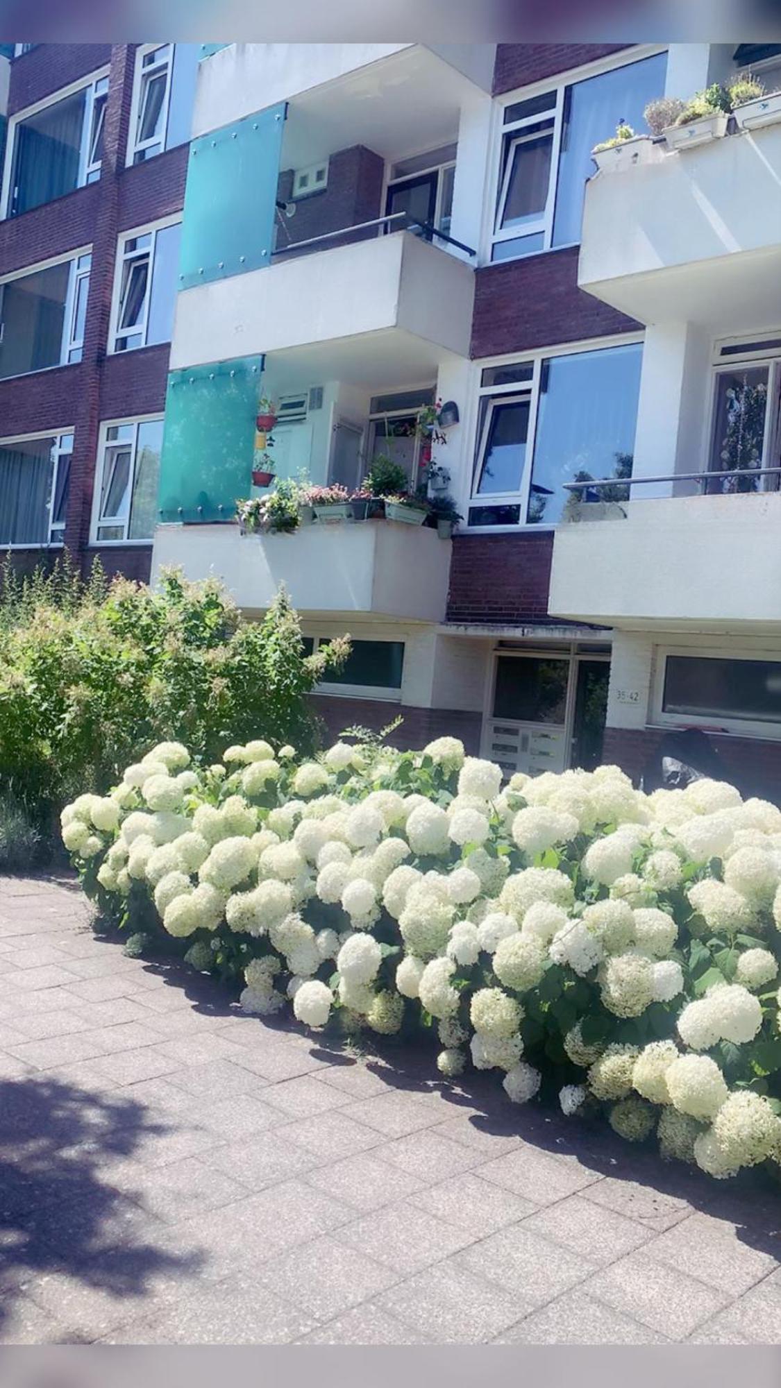 Keycity Apt Near Amsterdam & The Hague Leyde Extérieur photo