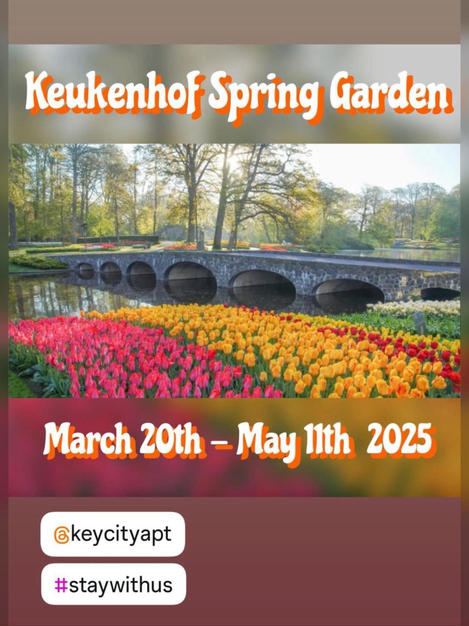Keycity Apt Near Amsterdam & The Hague Leyde Extérieur photo
